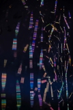 © Candace Swimmer, Spider Web Colors (2021) | Instagram @candaceswimmer