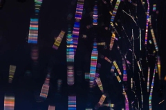 © Candace Swimmer, Spider Web Colors (2021) | Instagram @candaceswimmer