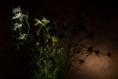 Call for Entry, March 2024 Photo of the Month