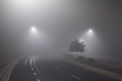 Shay-Lari-Hosain-Silence-in-B-Flat-I-2018