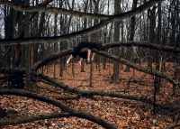 Divine Comedy: The Pathway Lost, 2023. © Danielle Owensby. Divine Comedy: The Pathway Lost, 2023. © Danielle Owensby.