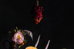 Still Life Photography – Studio Lighting Workshop 2020. Marin, San Francisco. Photo © Emma K Morris