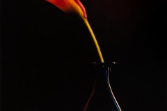 Still Life Photography – Studio Lighting Workshop 2020. Marin, San Francisco. Photo © Ernest Sanchez