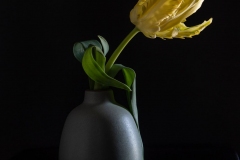 Still Life Photography – Studio Lighting Workshop 2020. Marin, San Francisco. Photo © Lawrie Mott