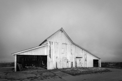 Digital Black and White Photography