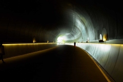 The Language of Light for Photographers