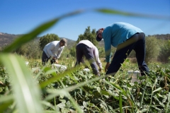 Umbria, Italy: Photography & the Slow Food Movement