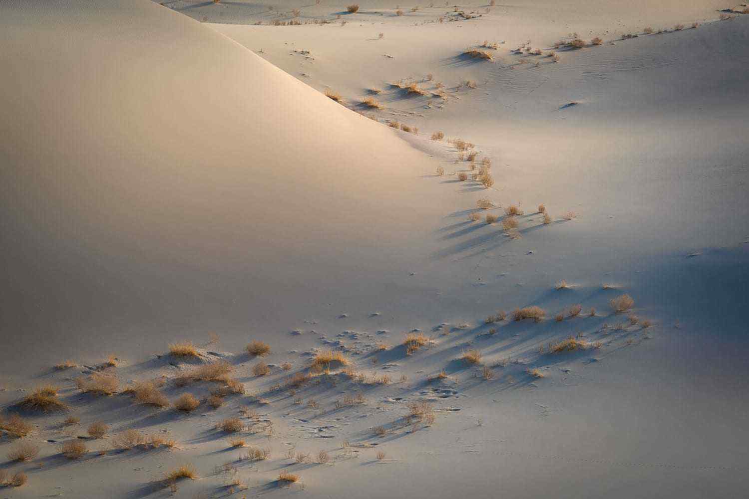 Death Valley Sand Dunes Photography. Photo © Michael E. Gordon
