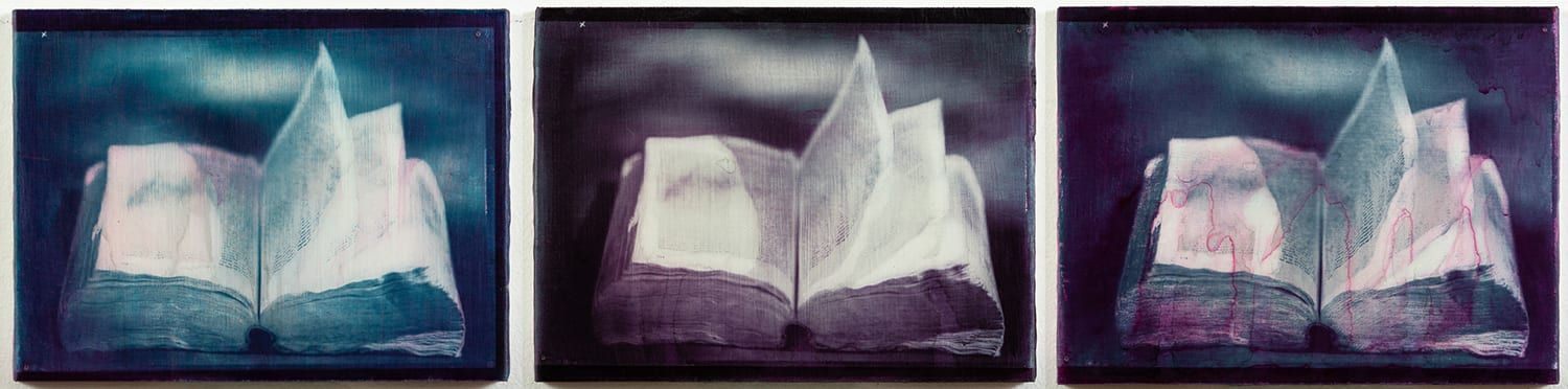Light in the Dark - Gum Bichromate Printing Explored. Photo © Francis Baker