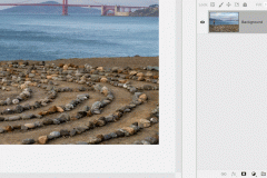 Retouching in Photoshop