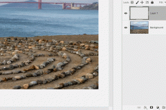 Retouching in Photoshop