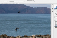Retouching in Photoshop