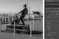 Lightroom Black and White