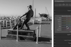 Lightroom Black and White