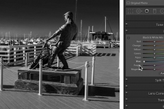 Lightroom Black and White
