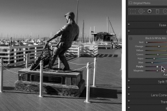 Lightroom Black and White