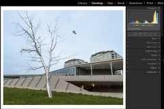 Lightroom Cropping and Image Resolution