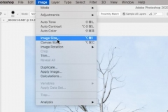 Lightroom Cropping and Image Resolution