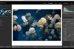 Lightroom Edit in Photoshop Settings