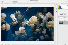Lightroom Edit in Photoshop Settings