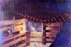 Light in the Dark - Gum Bichromate Printing Explored. Photo © Francis Baker