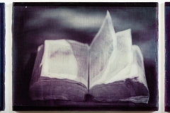Light in the Dark - Gum Bichromate Printing Explored. Photo © Francis Baker