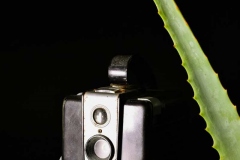 Empowering Youth Through Photography