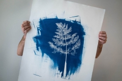Intro to Cyanotype Printing Workshop at The Image Flow