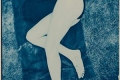 Intro to Cyanotype Printing Workshop at The Image Flow