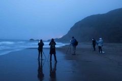 Intro to Cyanotype Printing Workshop at The Image Flow