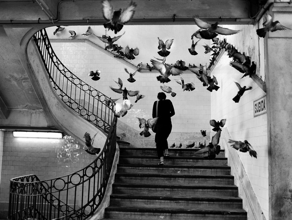 Masters of Photography: 2019 Lecture Series with Jeffrey Martz. Photo © Henri Cartier-Bresson