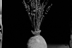 Tintypes © Scott Ellison
