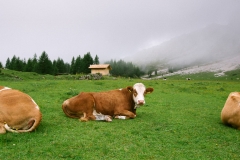 Photography Workshop in Italy: The Dolomites from The Image Flow