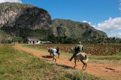 Travel Photography Workshop in Cuba. Photo © Walter Kaeser