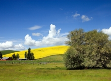 © Carol Highsmith, Idaho Farm