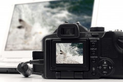 Workshops and Classes at The Image Flow