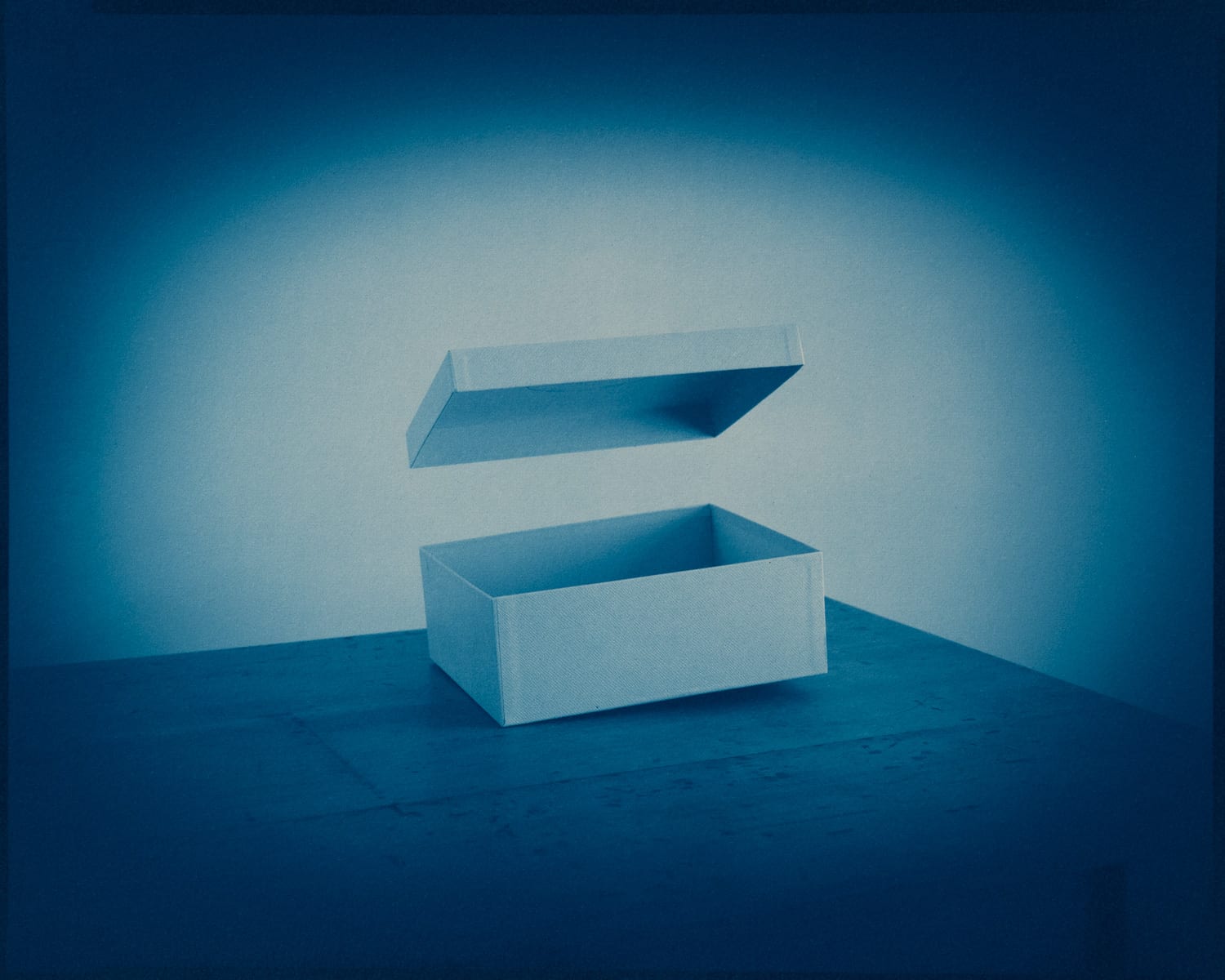 Intro to Cyanotype Printing Workshop at The Image Flow