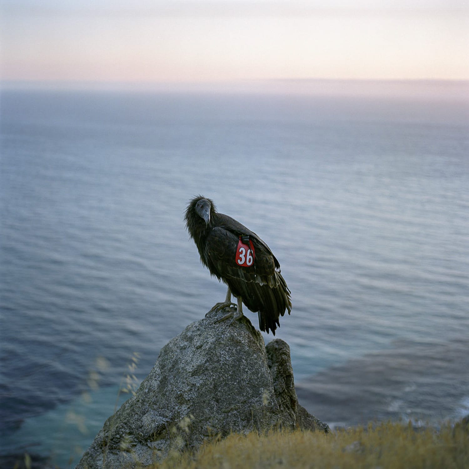 Mindfulness in Photography | Mindful Photography Workshop | The Image Flow. Photo © Lucy Goodhart