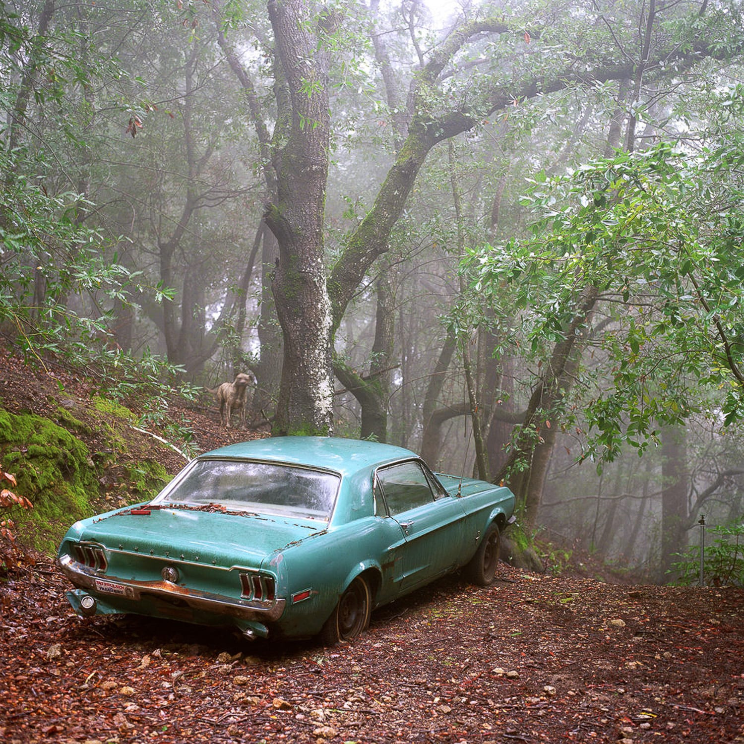 Mindfulness in Photography | Mindful Photography Workshop | The Image Flow. Photo © Lucy Goodhart