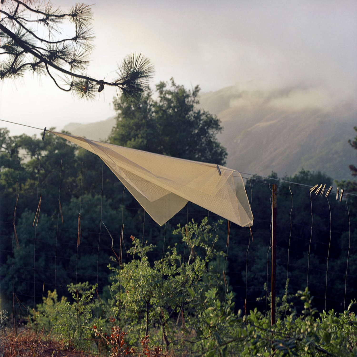 Mindfulness in Photography | Mindful Photography Workshop | The Image Flow. Photo © Lucy Goodhart