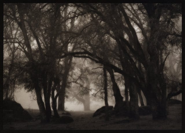 10x12 palladium print on Legion Paper Revere Platinum. Photo © Kerik Kouklis. Best paper for platinum/palladium printing.