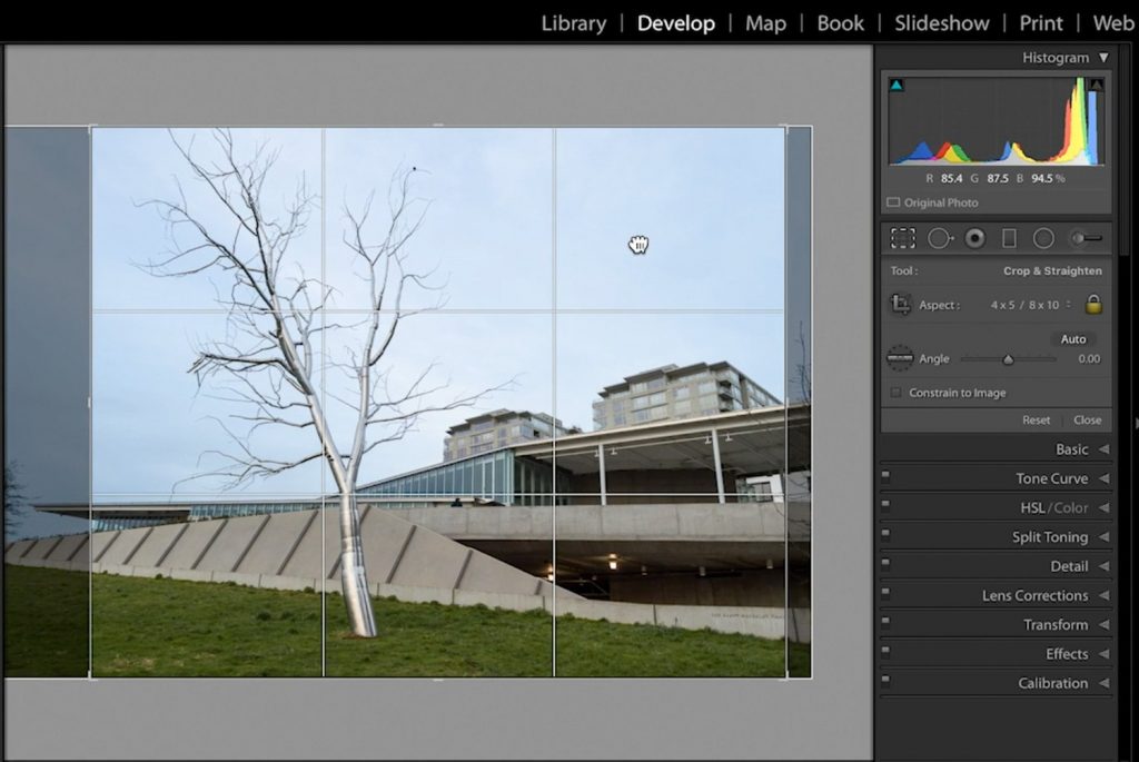 Lightroom-Cropping-and-Image-Resolution-05-reposition-crop