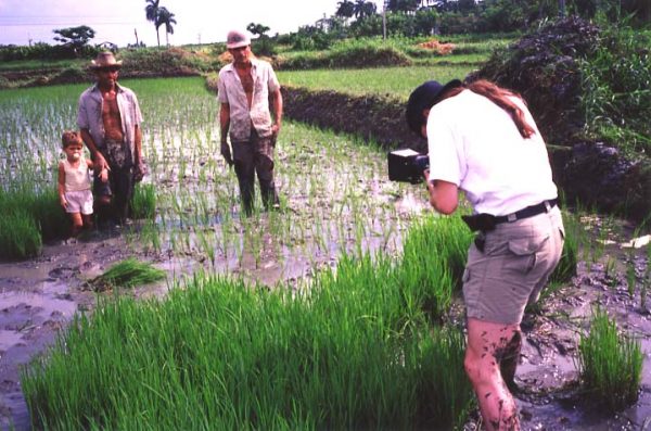 Jock working in the rice fields Pinar del Rio