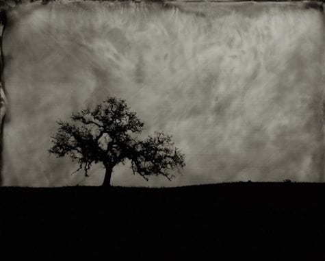 Wet plate collodion print