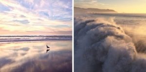bay area places michelle grenier likes to shoot iphone photography workshop