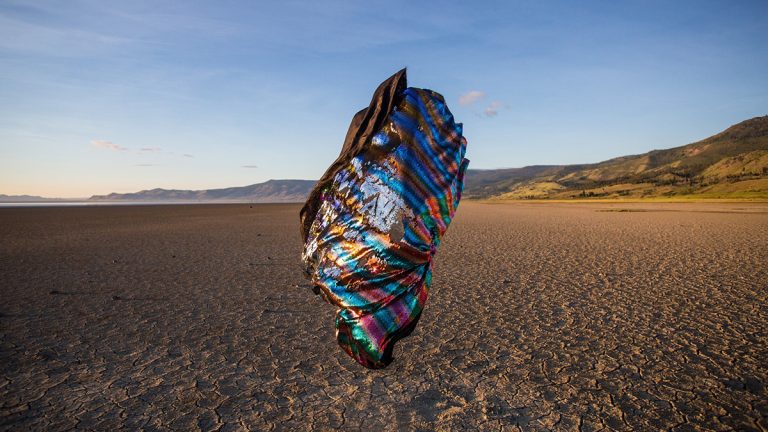 Magician's Cape, Desert. © Wayne Bund