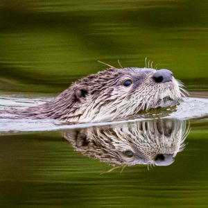 Nature & Wildlife Photography Workshop