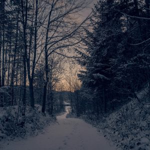 michael-pointner - Landscape