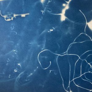 Cyanotype Workshop