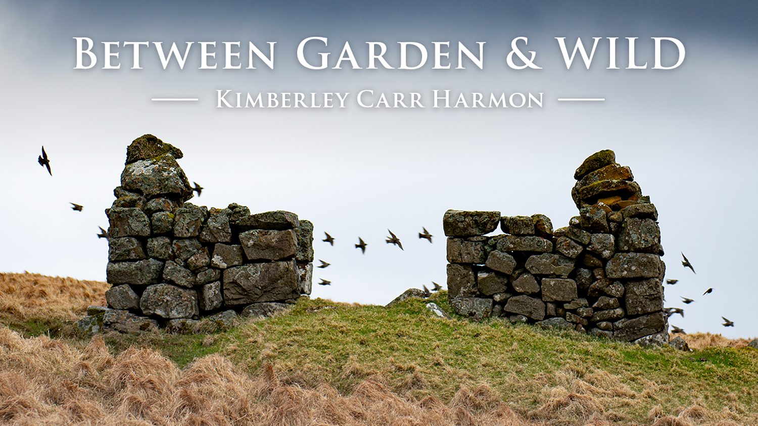Harmon_Gallery_HP_Image-NL